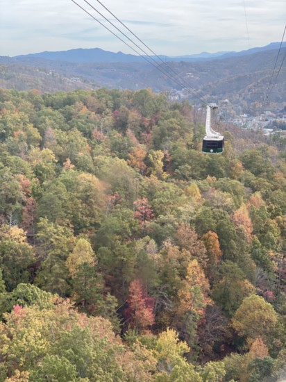 Ride above Gatlinburg in the Ober Gatlinburg Tramway.