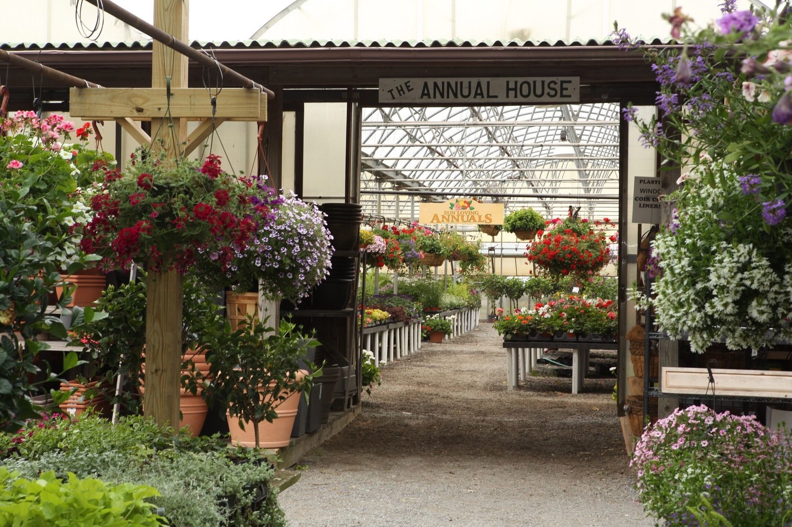 Four Generations of Growth—Bayport Flower Houses