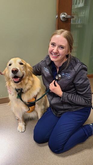 Pic by Four Seasons Veterinary Specialists