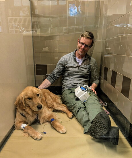 Pic by Four Seasons Veterinary Specialists
