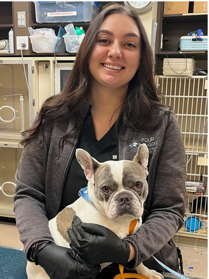 Pic by Four Seasons Veterinary Specialists