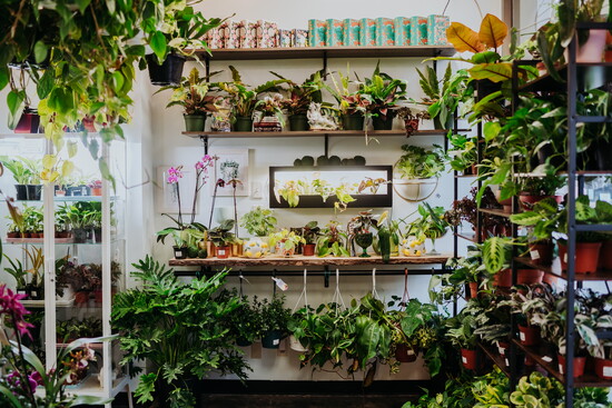 page 2 - bottom left