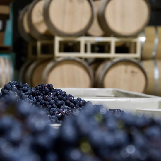 Adega Vinho Winery