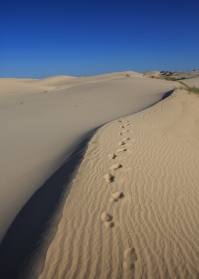 Opposite Page: Padre Island National Seashore. Photo by Tim Malek Monahans Sandhills State Park.  Photo by Chris Zebo