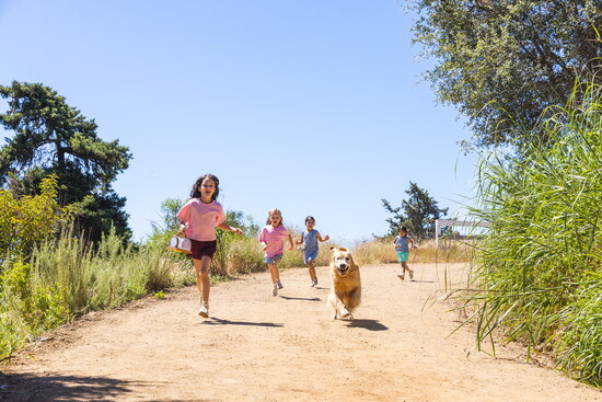 Fipl is designed for kids at every stage of life.