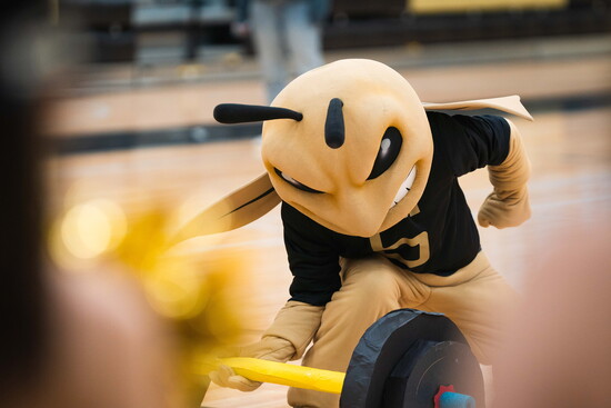 Sprayberry High School Mascot
