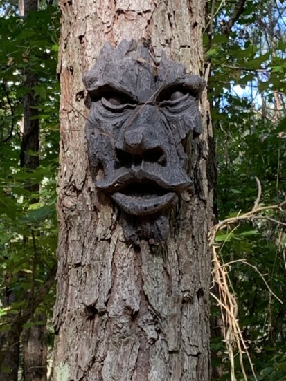 A creepy tree face keeps watch over the Peters Family Cemetery. 