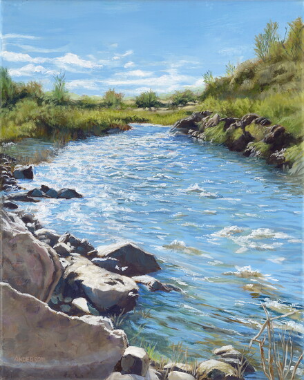 "Cosumnes Spring Flow"