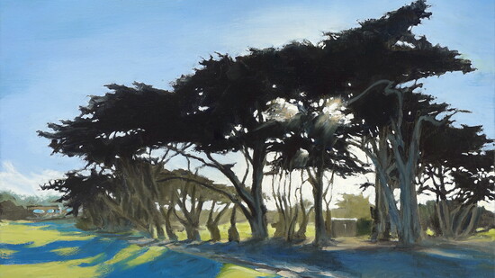 "Five O'Clock Shadow"