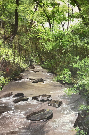 On vacation near Ellijay, Georgia, we took a hike along Bryant Creek.  A challenge to do rocks and running water.