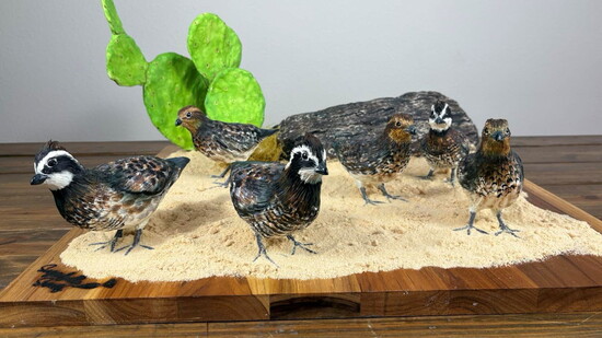 Bobwhite quail covey cake scene paired with chocolate Prickly Pear cactus and a chocolate tree cake.