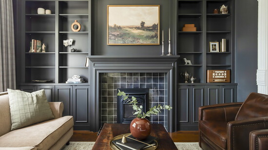 The Humble Lion Photography