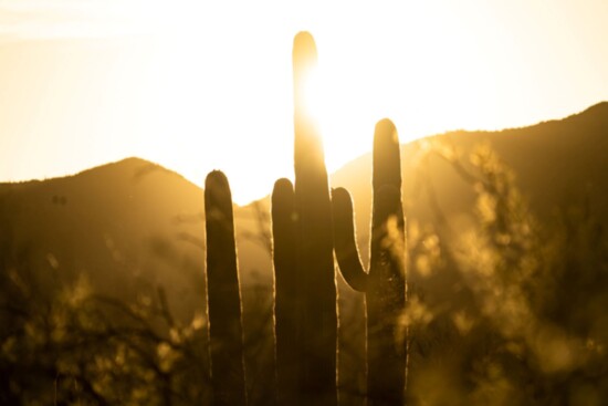 Tonto National Park at sunset 