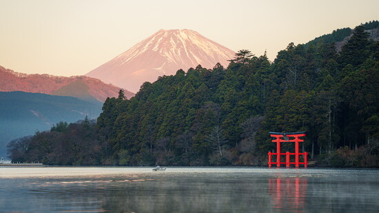 I like this one or the one to the right