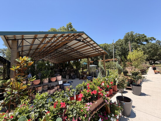 Bailey's Produce & Nursery