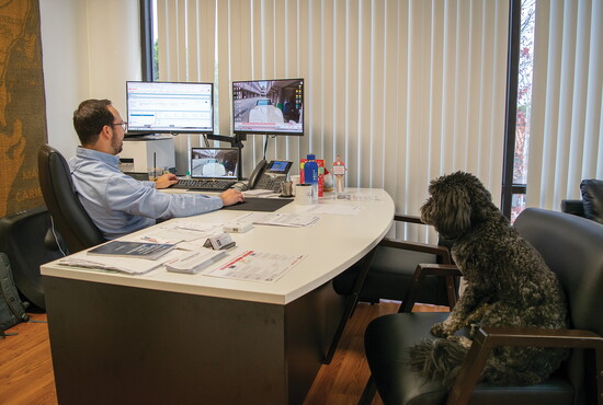 Kevin, Rob Casares’ dog, keeps watch from a chair inside the Long Beach office as Casares works.