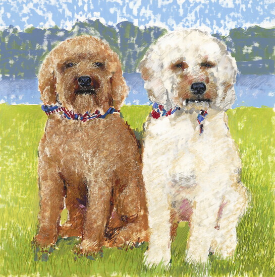 Labradoodles by Matthew Johnston