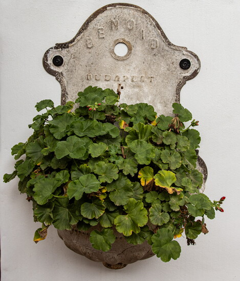 Details throughout Bottega Salaria, from kitchen tools to outdoor greenery, help create the feeling of a Roman neighborhood restaurant in Fredericksburg. 