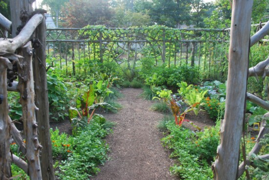 Hand-Made Fenced Garden