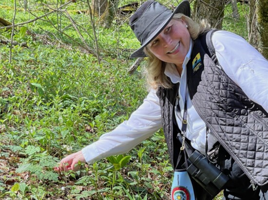 The Swag, a boutique lodge in the NC Smokies offers wildflower hikes, cooking classes and deep suites with copper tubs for long soaks.