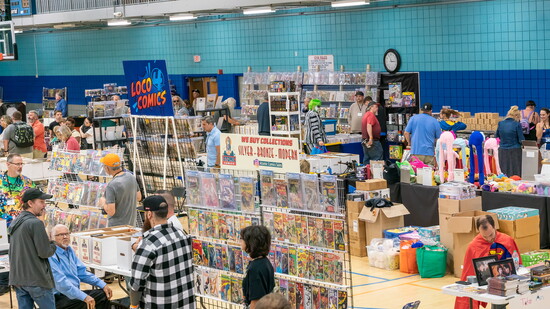 Gallatin Comic Con 2025