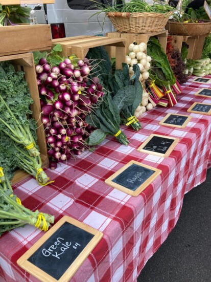 Media Farmers Market Now Open in Winter