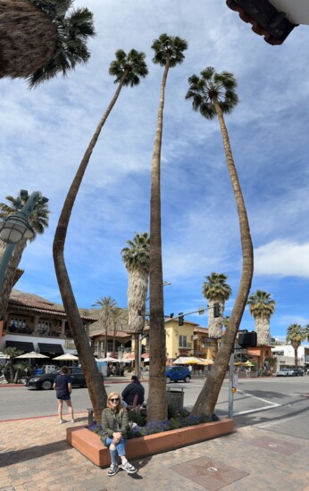 Palm Canyon Drive in downtown Palm Springs