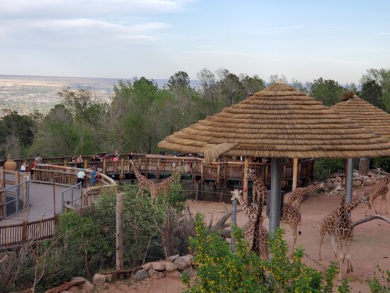 Cheyenne Mtn Zoo