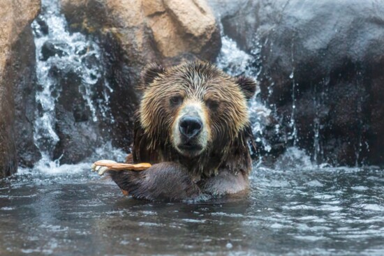 Cheyenne Mtn Zoo
