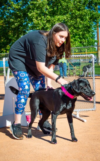 Elle & OpieQ Demonstrate FlyBall Teamwork