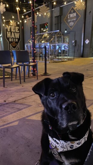 Photo credit - 6th & Peabody
