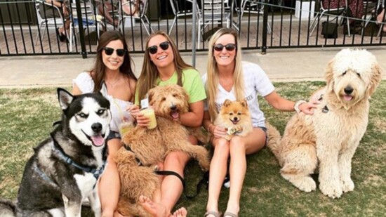 Doggie Meetups at Sandbar, Photo Credit - Nashville Guardian