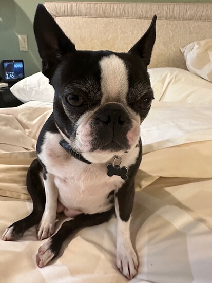 Jojo