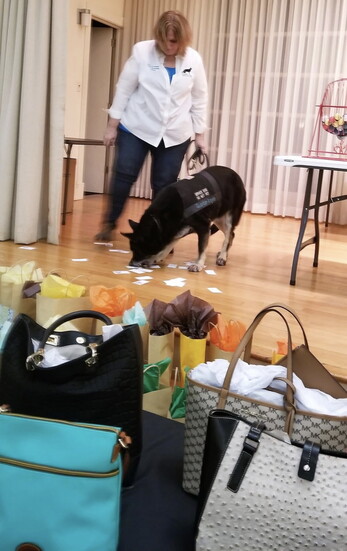 Bodacious Handbag Bingo supports Guardian Angels Medical Service Dogs