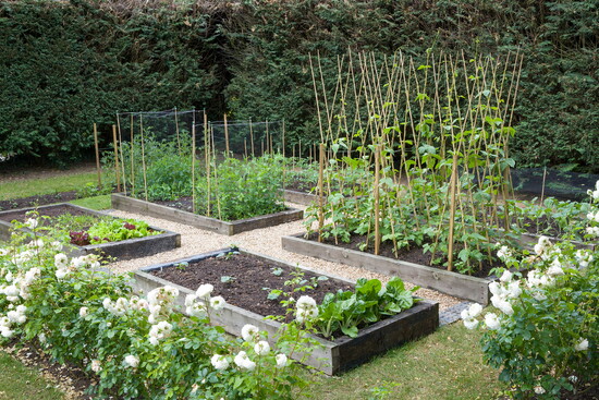 Garden with raised beds