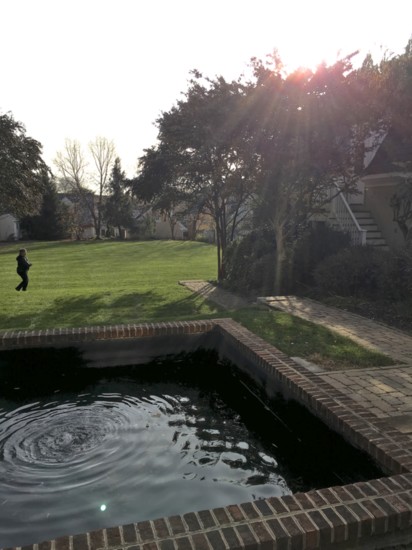 Before: The pond that ate the patio