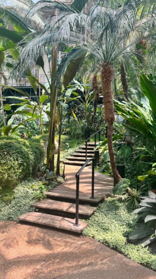 The Peaceful nature walk at Gaylord Opryland