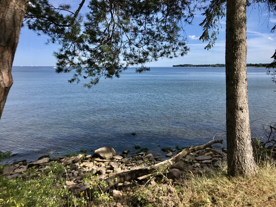 Cornwell Preserve along Lake Ontario; Photo credit: Barbara Monsour