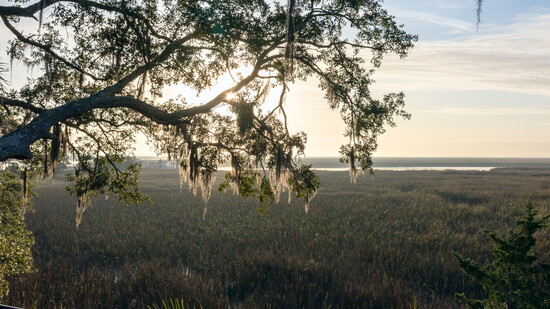 Sepalo Island Low Country