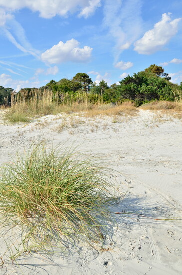 Georgia's Barrier Islands