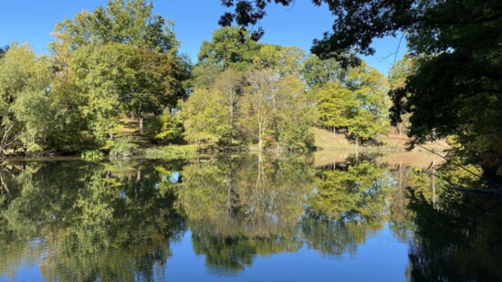 Carpenter Lake Nature Preserve