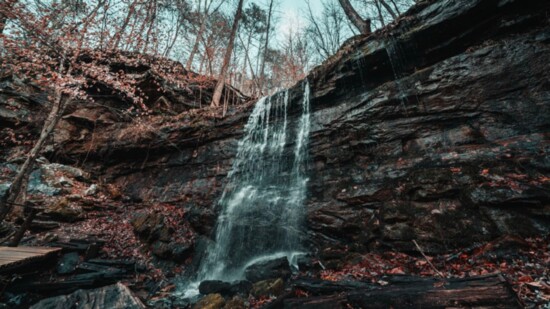 Hike Hurricane Creek Park and enjoy its natural beauty. 