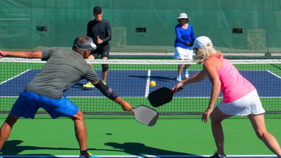 Join the pickleball craze and get some excericise.