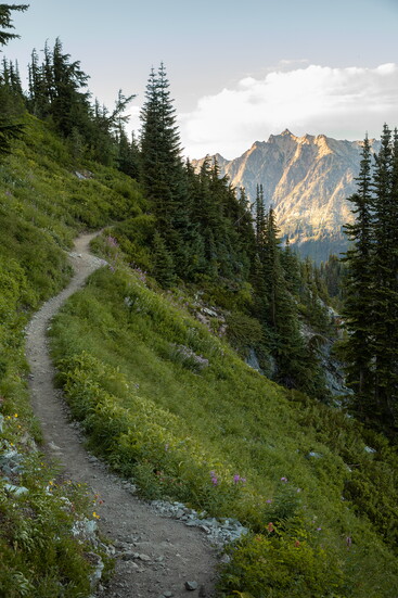 Maple Pass Trail