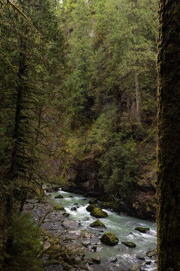 Boulder River Trail