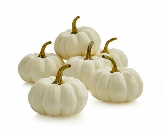 White pumpkins | Crate & Barrell | $20