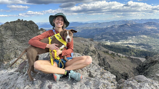 Photo Supplied by SPCA of Northern Nevada