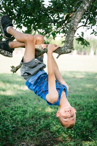 1. Climb a Tree   Climbing builds strength and confidence—no instruction manual needed.
