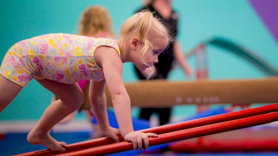 The Little Gym