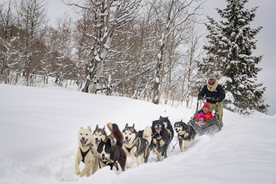 Dog-sledding in Park City. 